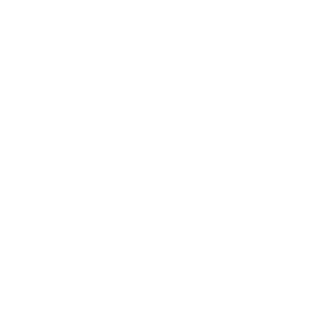 Stilisiertes Symbol eines Globus mit Längen‑ und Breitengraden in einer Kreisform. Das Icon steht für globale Vernetzung, internationale Zusammenarbeit oder weltweite Geschäftsprozesse.